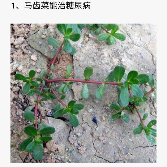 辛福快乐