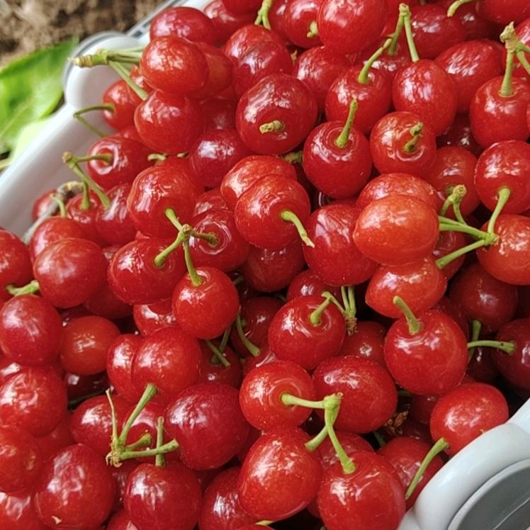 懂得珍惜才配拥有