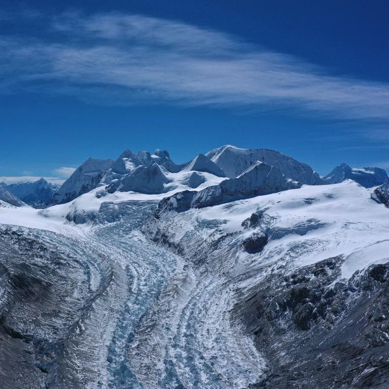 蓝藻滋补营养专营店