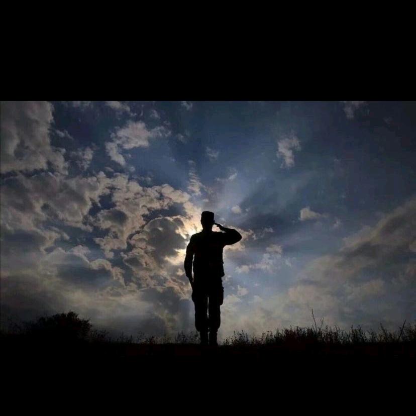 兵ღ