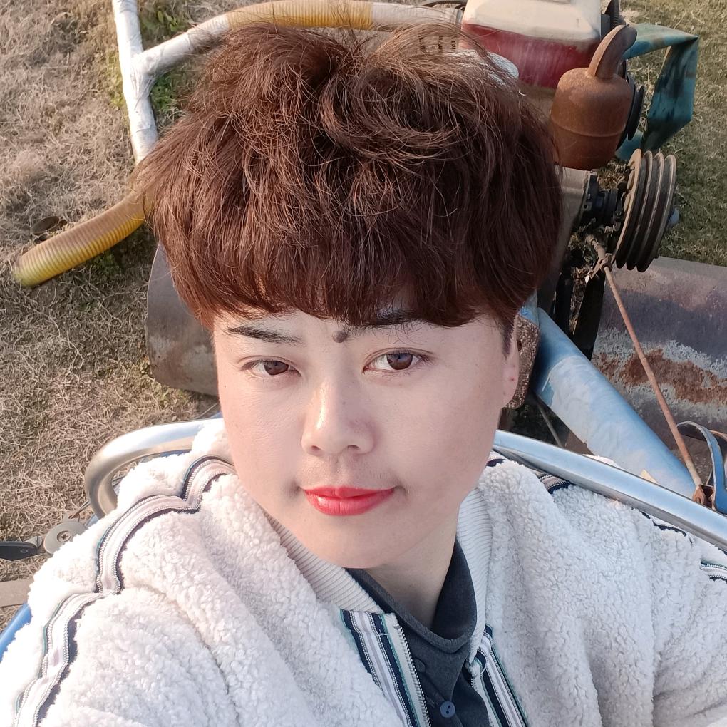 费家姑娘