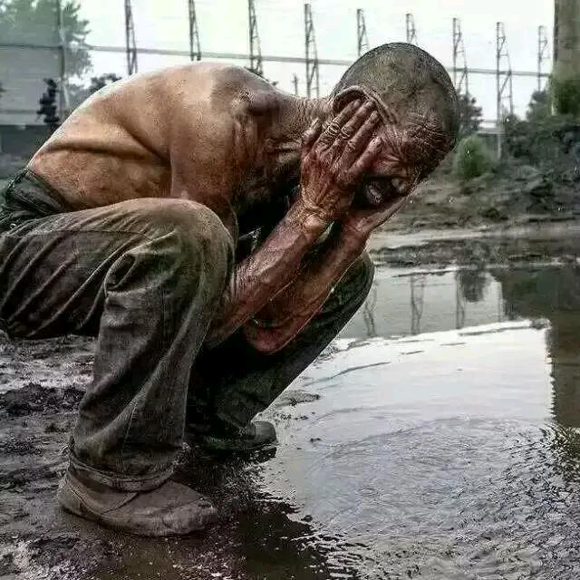 狼行天下