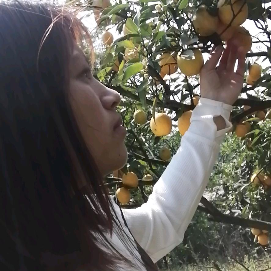 魂牵梦绕