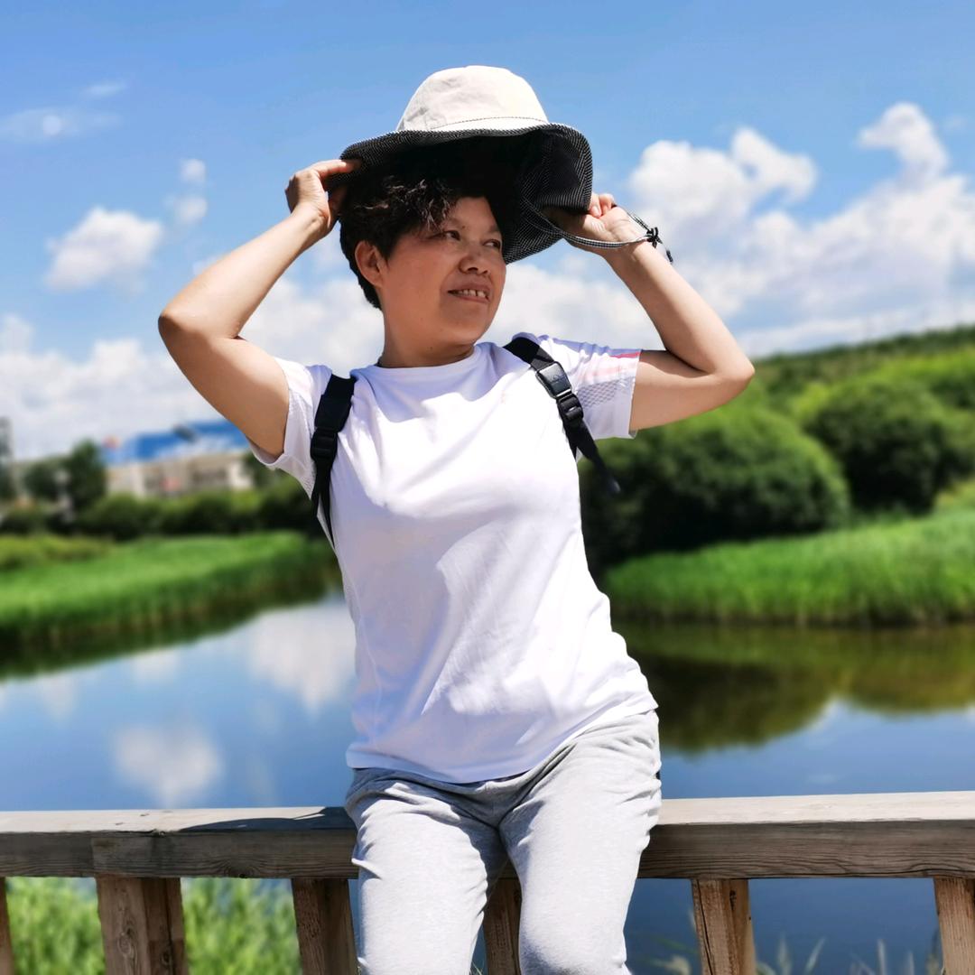 夏日的向日葵