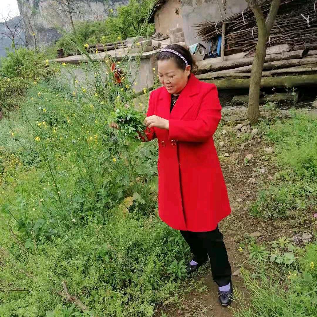 贾二妹🌹🌷🦅🏃