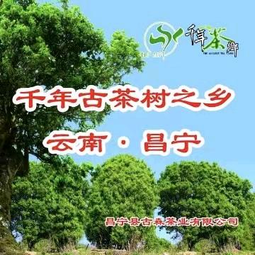 云南古森美食特产小超市