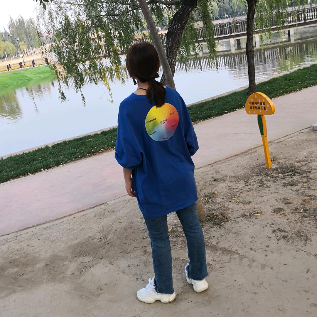放飞的风筝