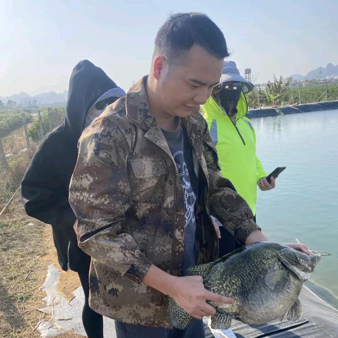老覃种柠檬