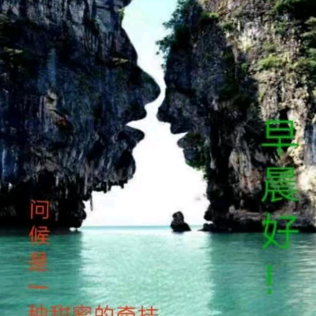 雅苑