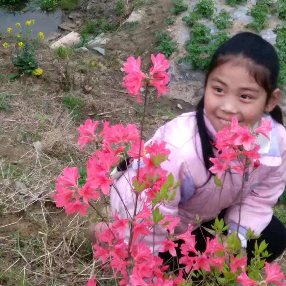 呆到深处自然萌