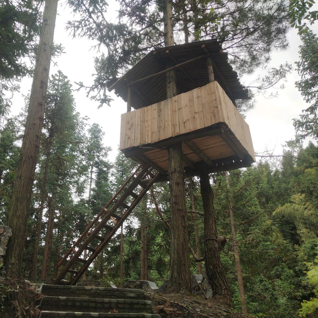 胸藏阳光