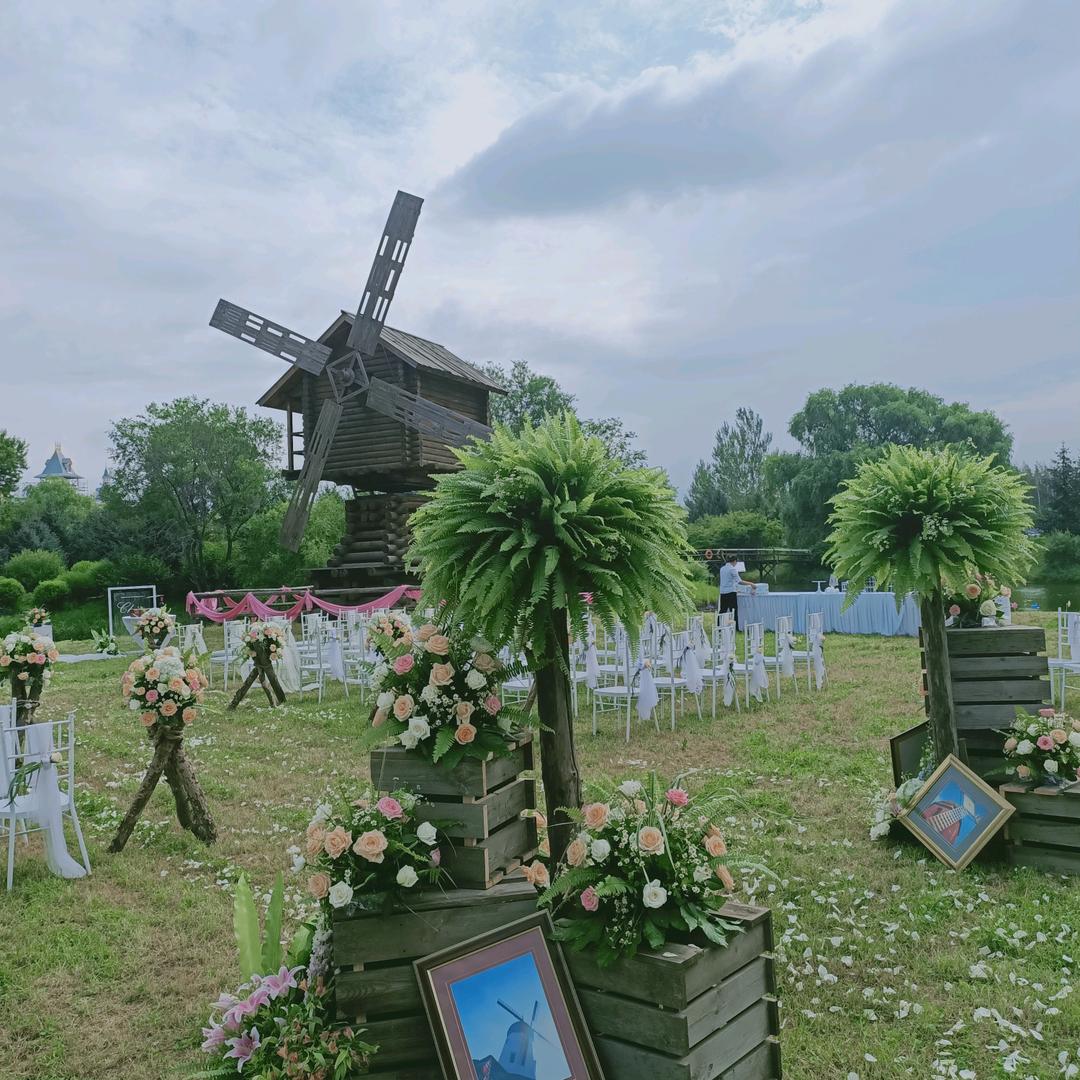 鑫冠芳生活鲜花（家居花）