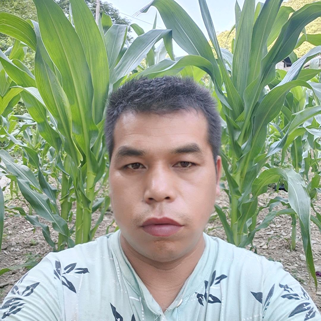 农村娃王林