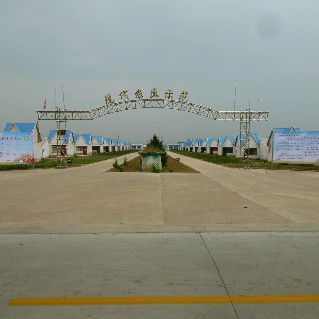 天镇县江林蔬菜育苗专业合作社