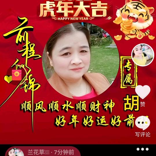 兰花草