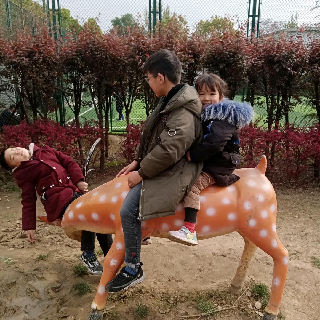 苦尽甘来🌂🐇🐇🐇