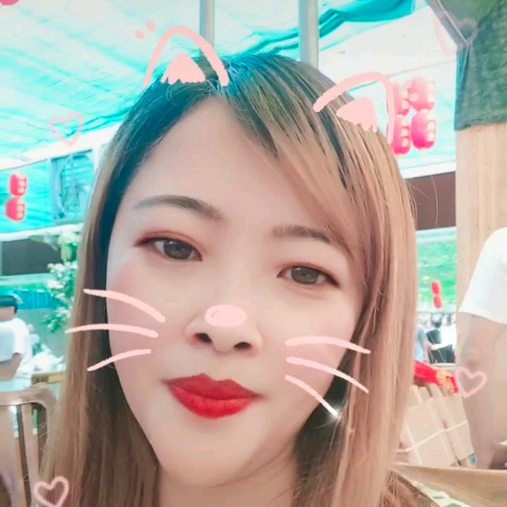 单只蝴蝶