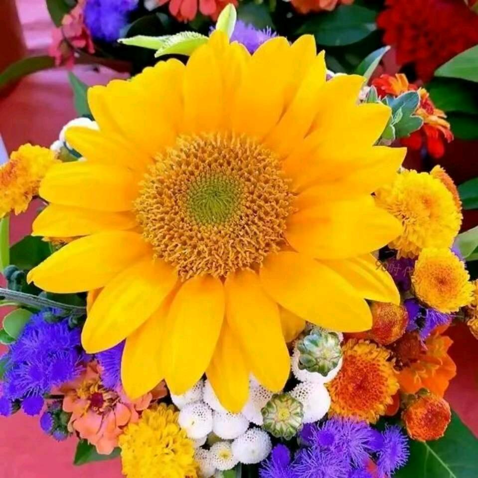 厚街汀山，19台火花机加工，沙迪克，省模