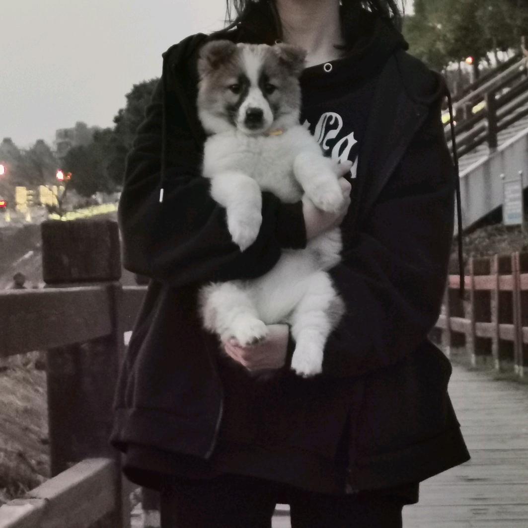 不必逞强