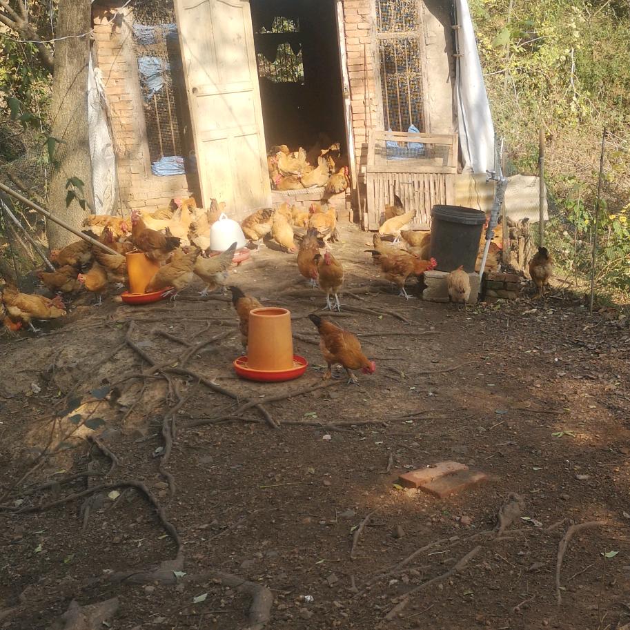 张善民家庭农场