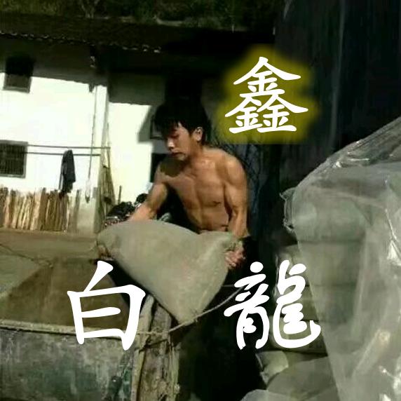 白龙