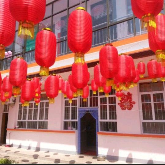 🌺🌺大爱无疆🌺🌺