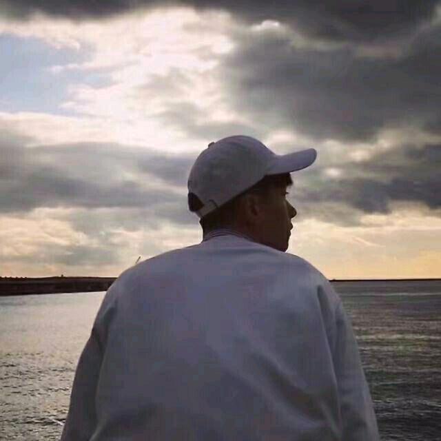 悟道的乌龟