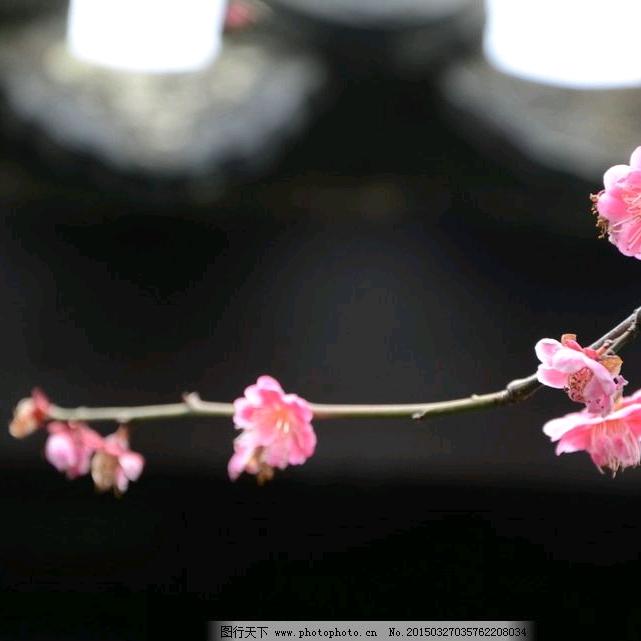 芸臻