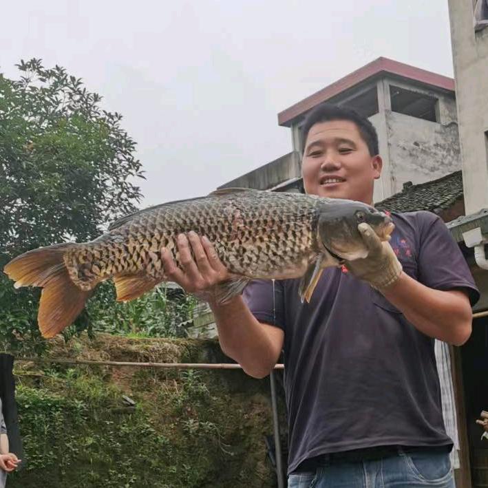 打鱼郎 户外