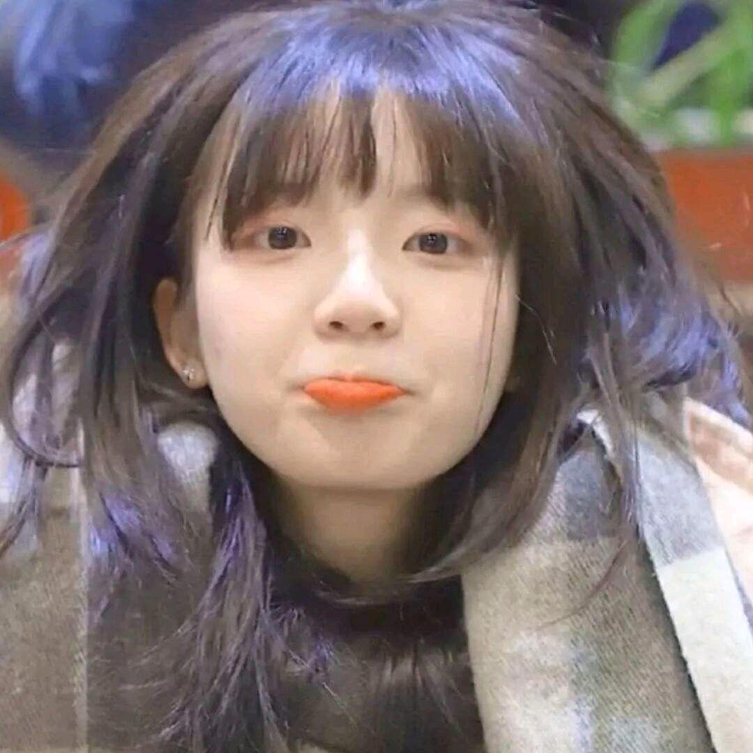 别惹我不然给你踹飞（四巡见过面版）