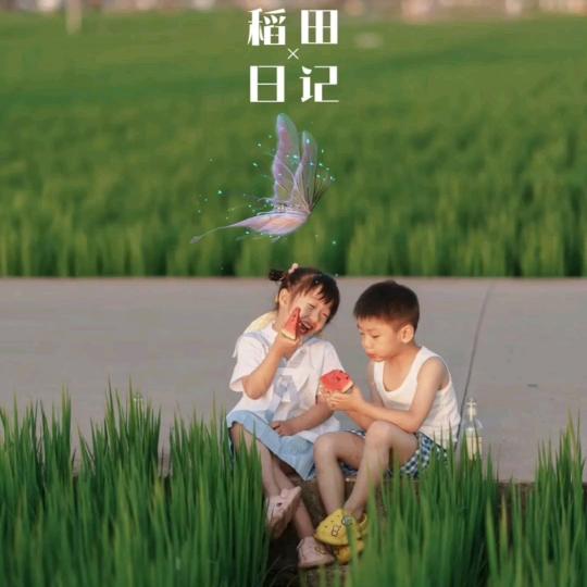 河北有机肥源头实力厂家