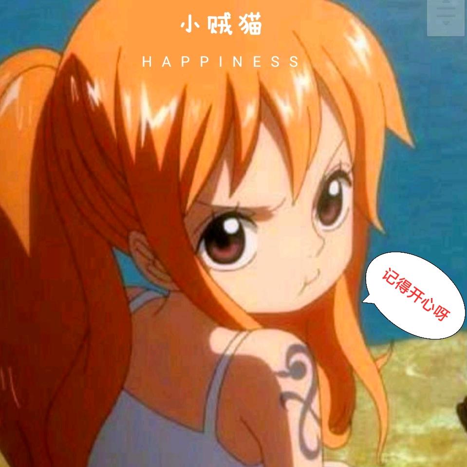 小贼猫游戏日常