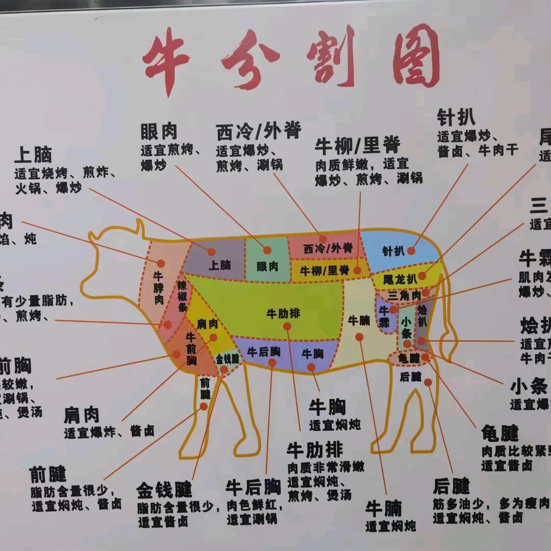 长城牛副