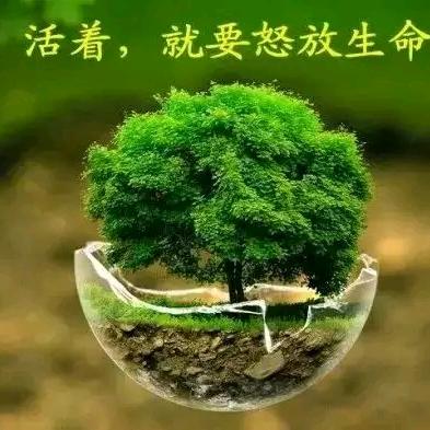 迁发品质馆