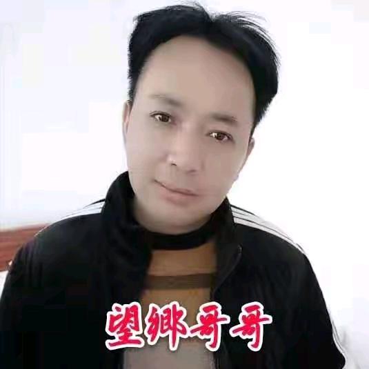 望鄕哥歌3号～大号每天晚上20点20分