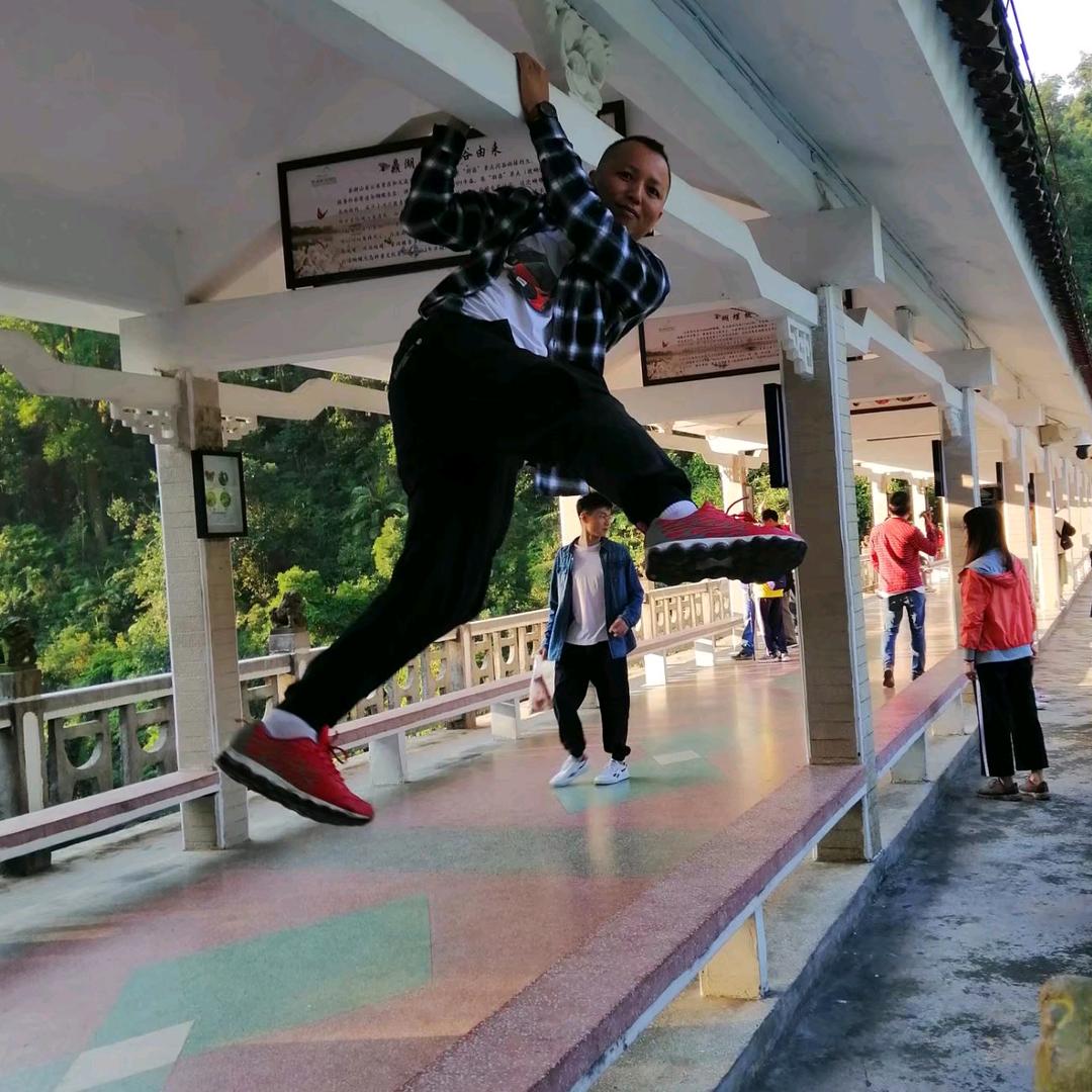 云雀高飞