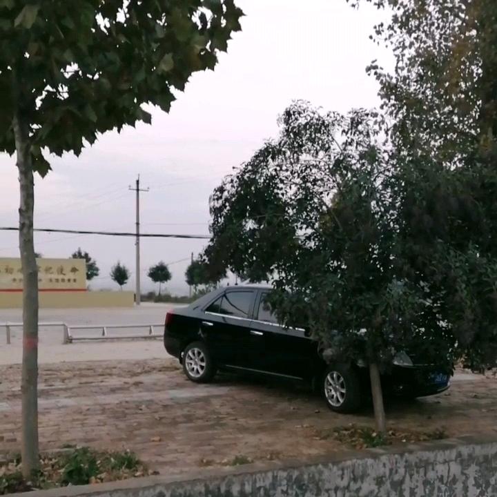 琓媄躌步_21813