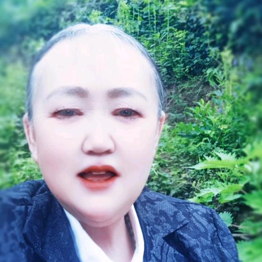 张四姐