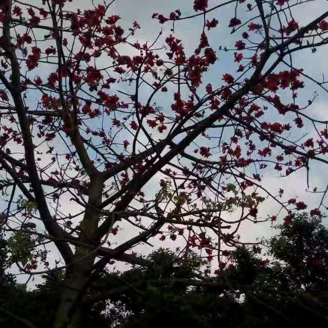 共享雅趣
