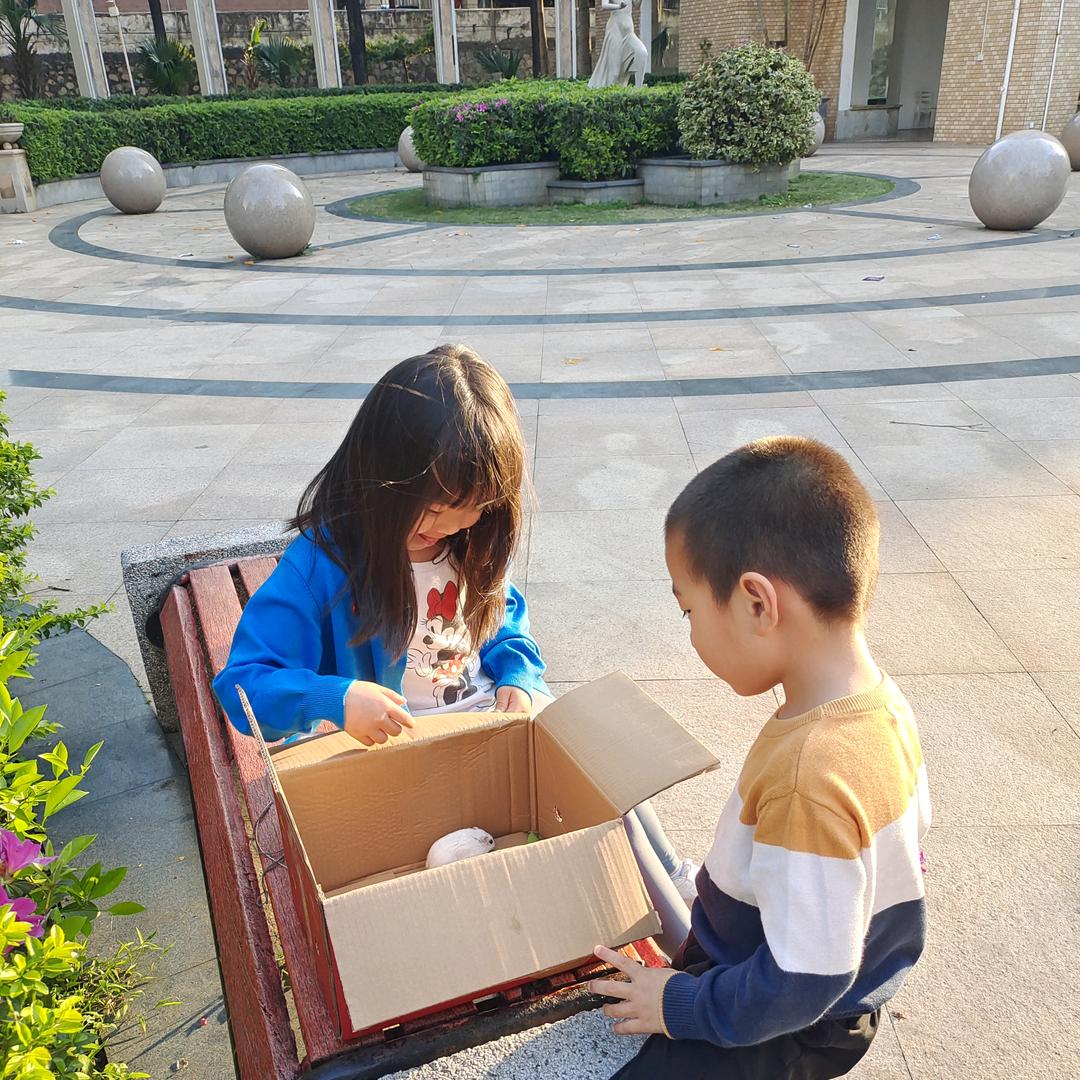 胡涂涂