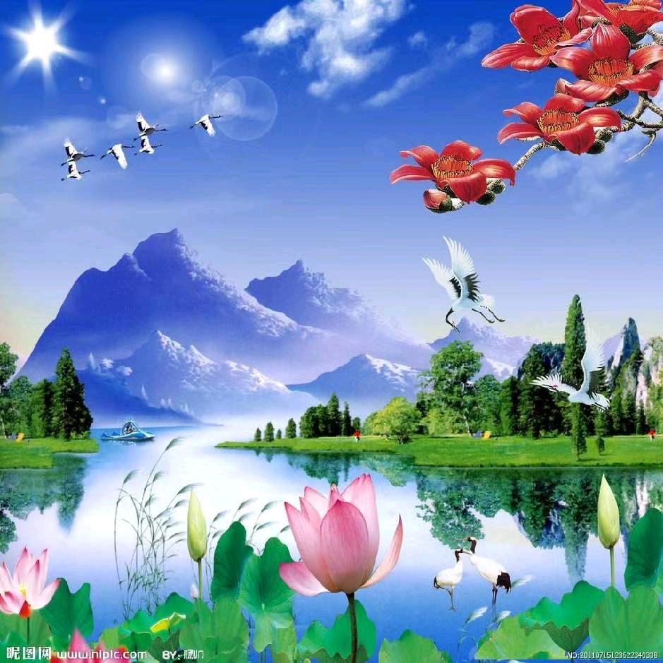如水年华
