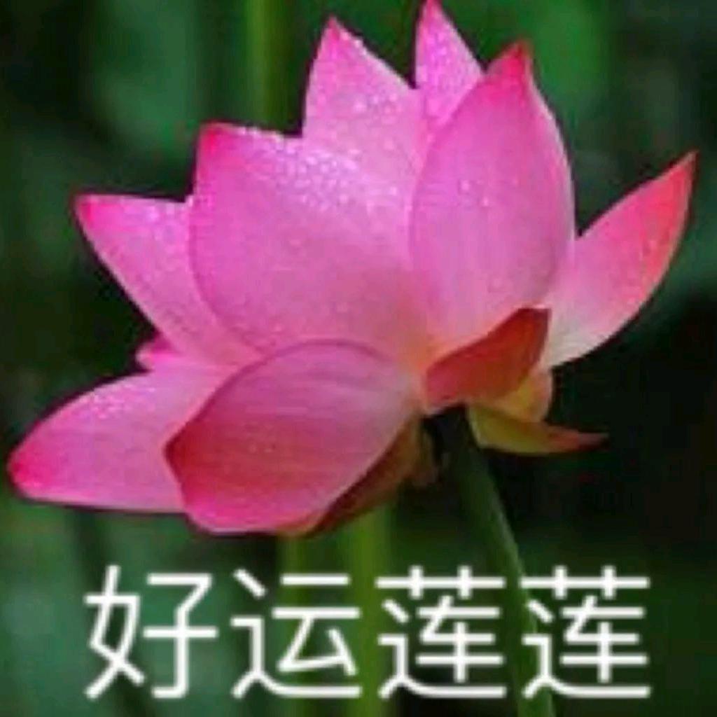 燕子