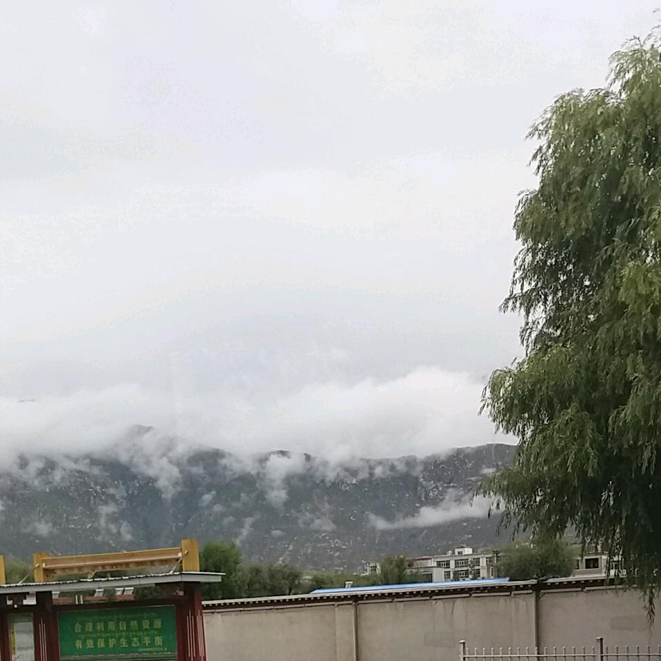 顺其自然ღ( ´･ᴗ･` )
