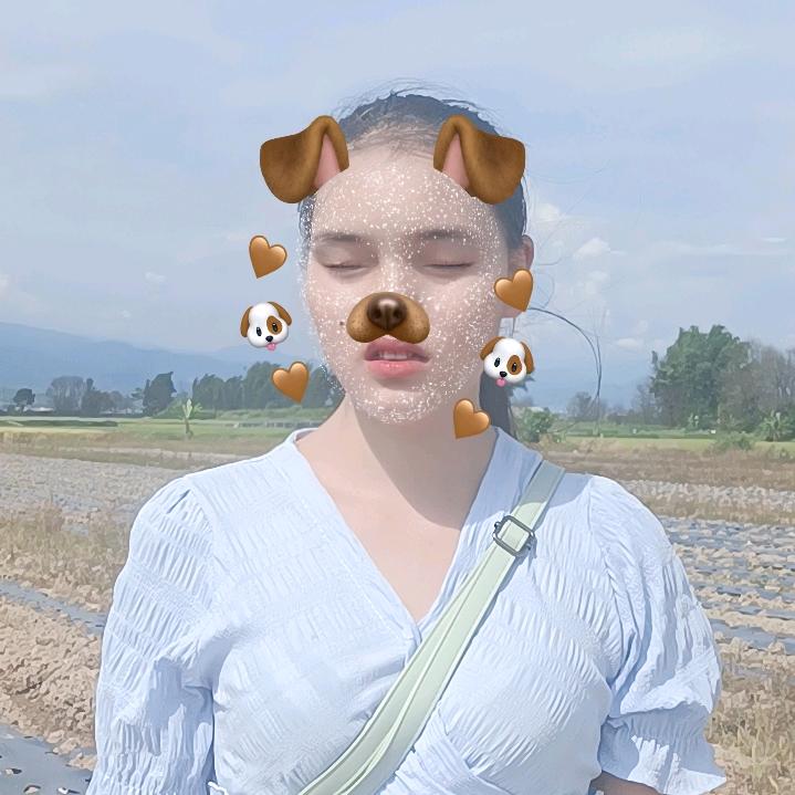 小燕子。