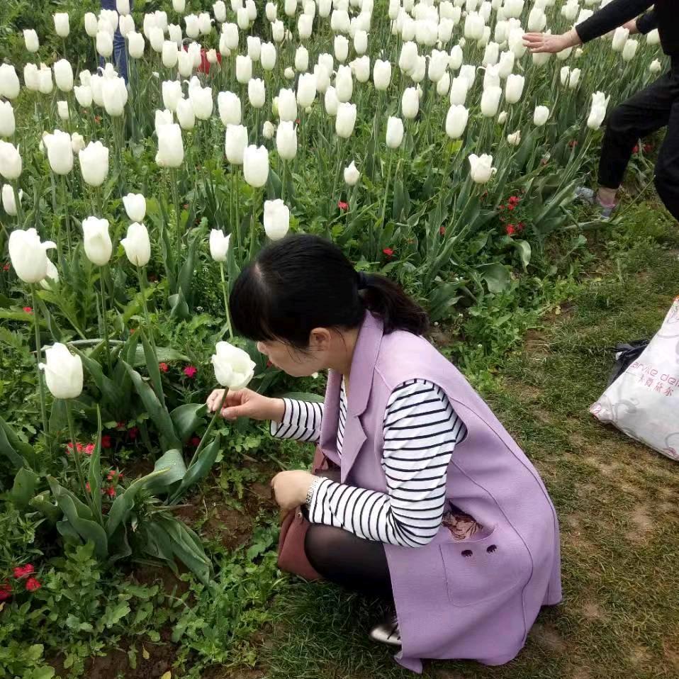 君悦房产