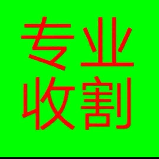 专业收割小庾