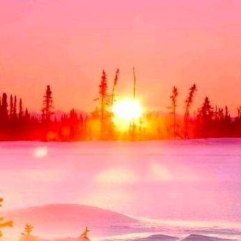 开心每一天🌹🌹🌹