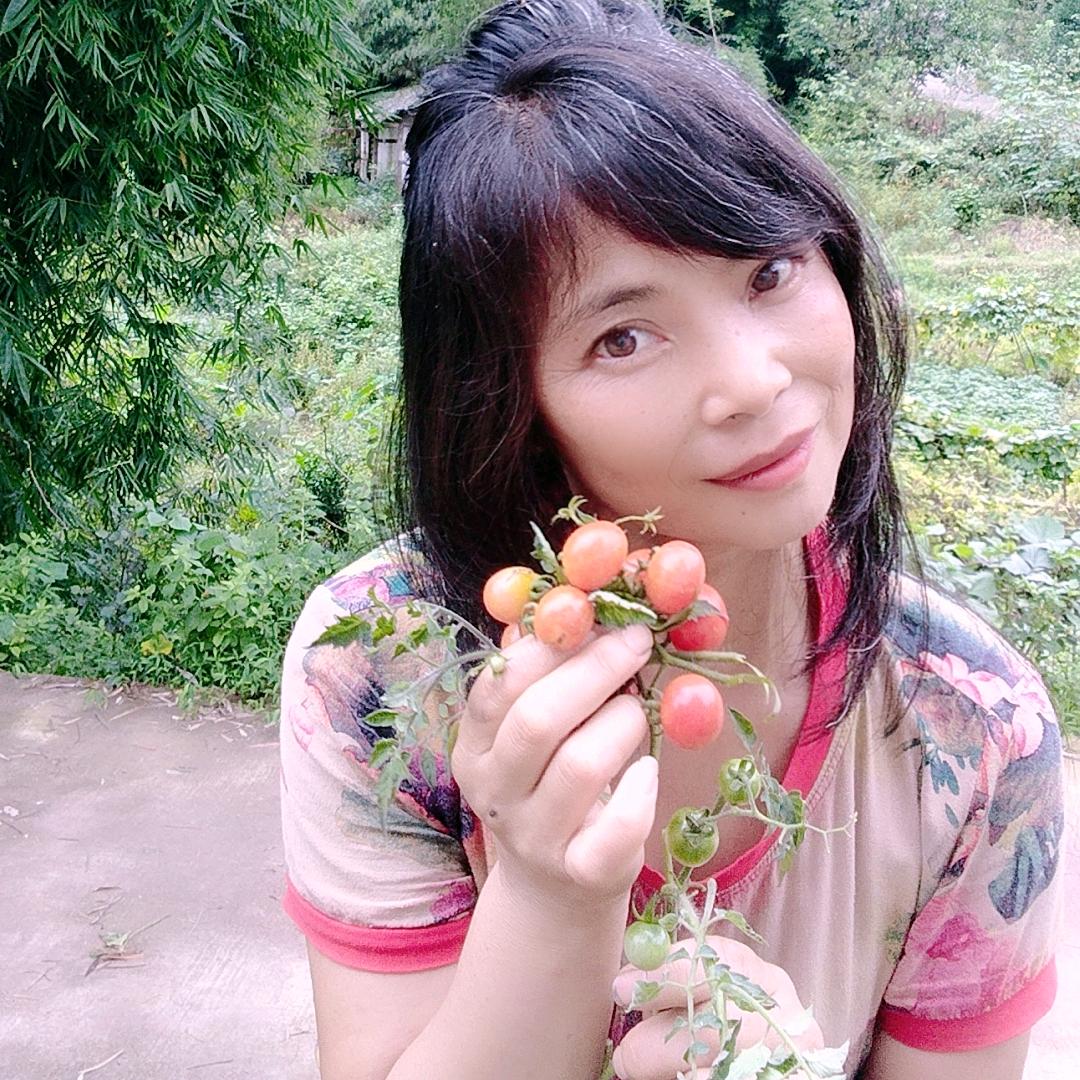 笨姐《务农》