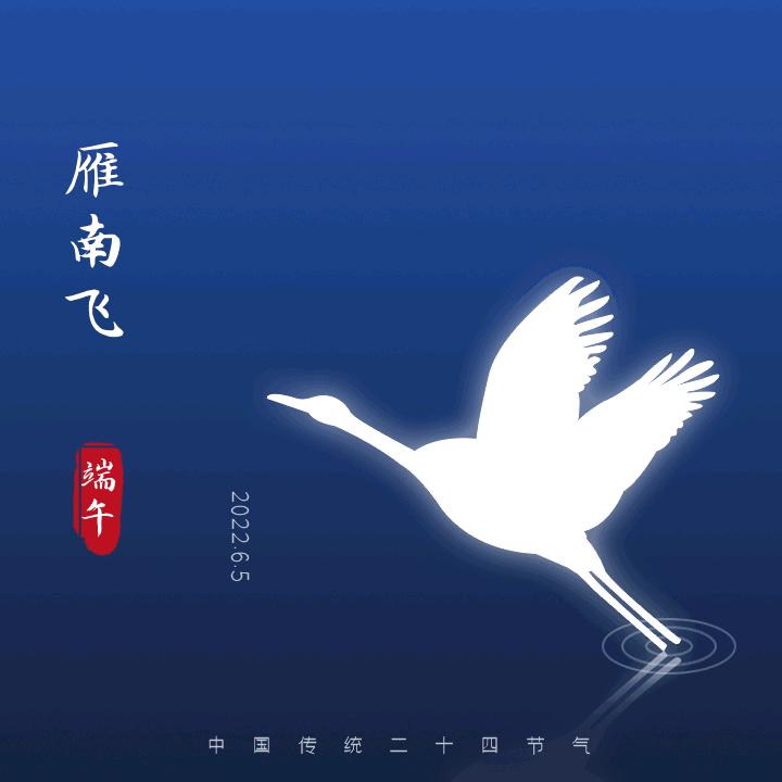 雁南飞