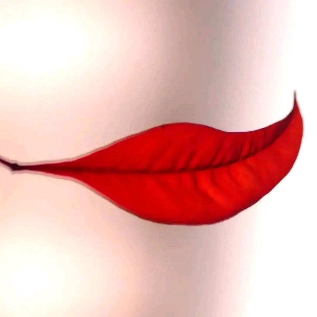 生吃黄连也作甜